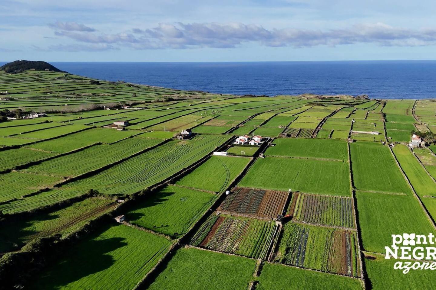 Wine House By Ponta Negra Azores Altares Exterior photo